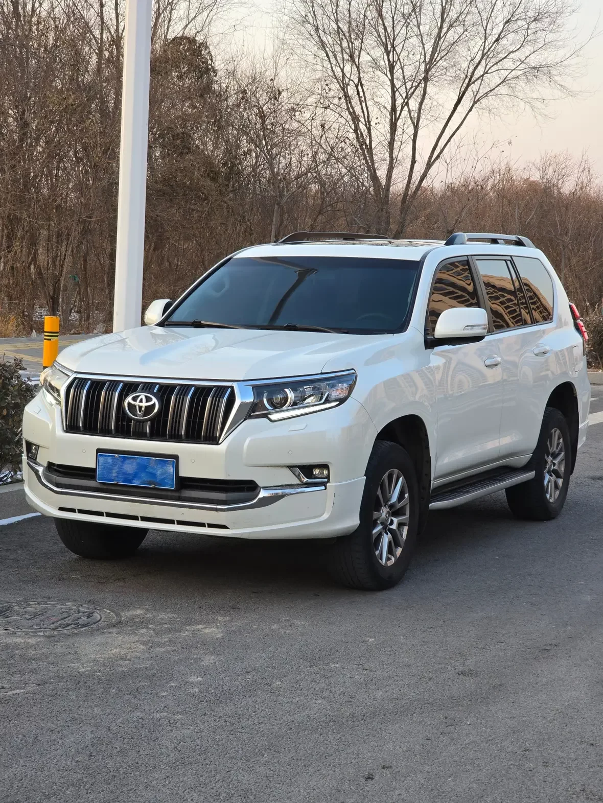 Toyota prado