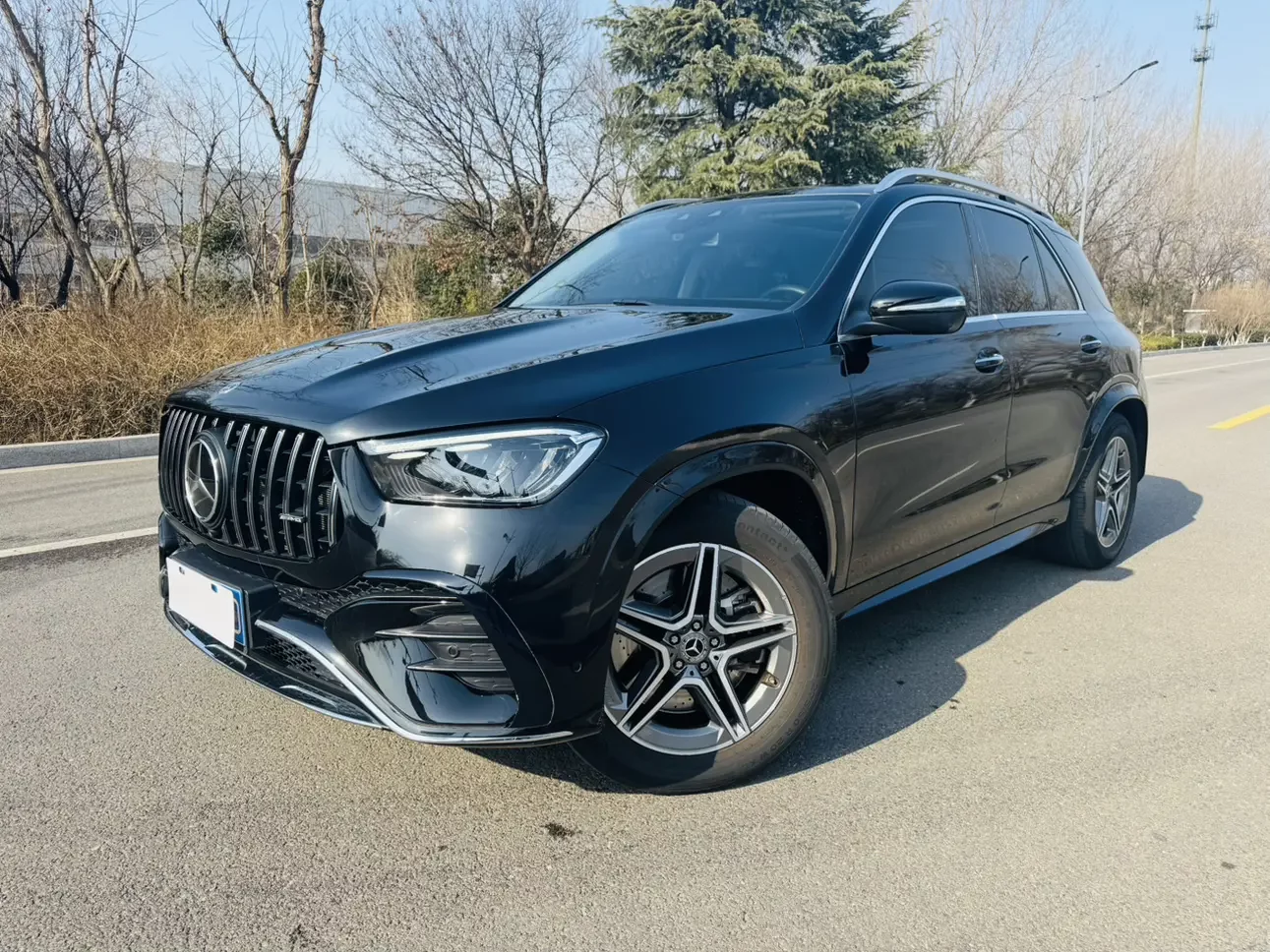 Mercedes-Benz GLE (Imported)