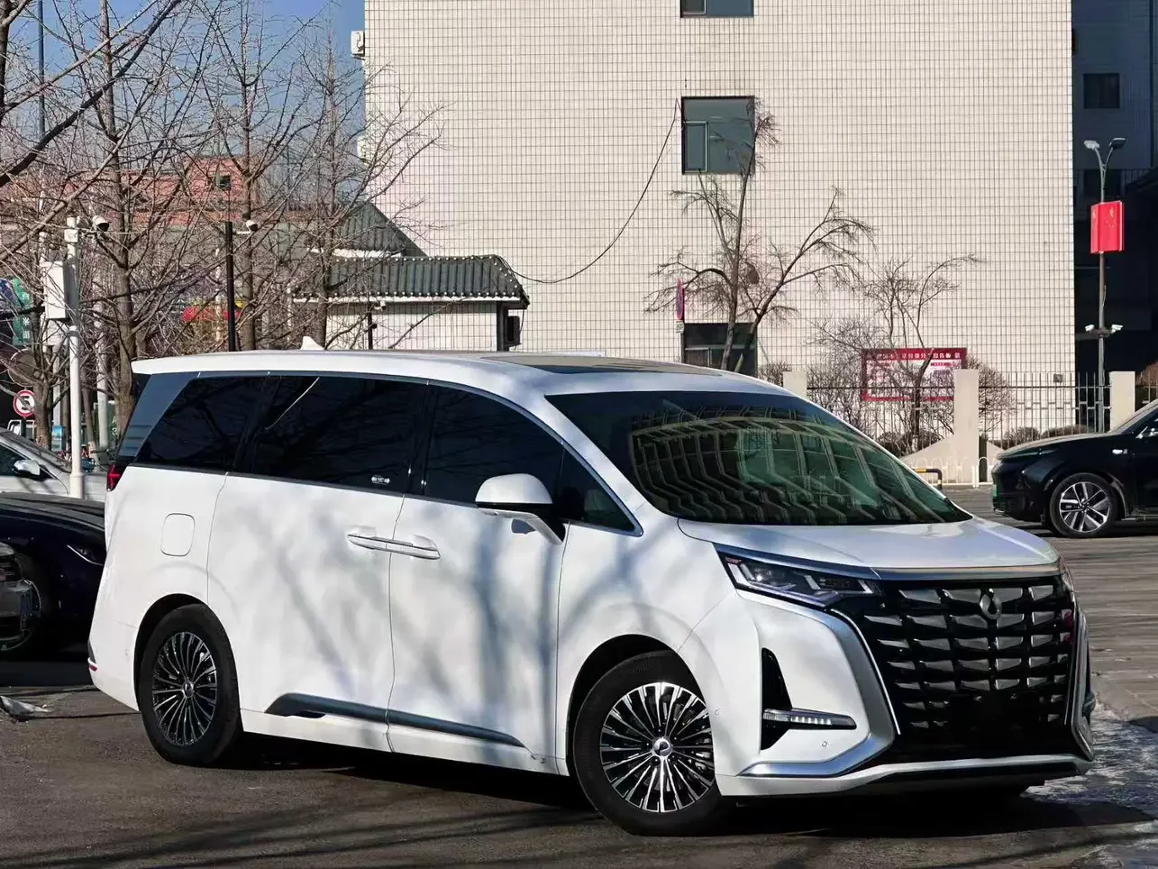 Denza D9 DM