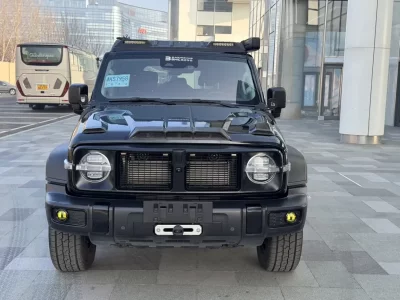 TANK 300