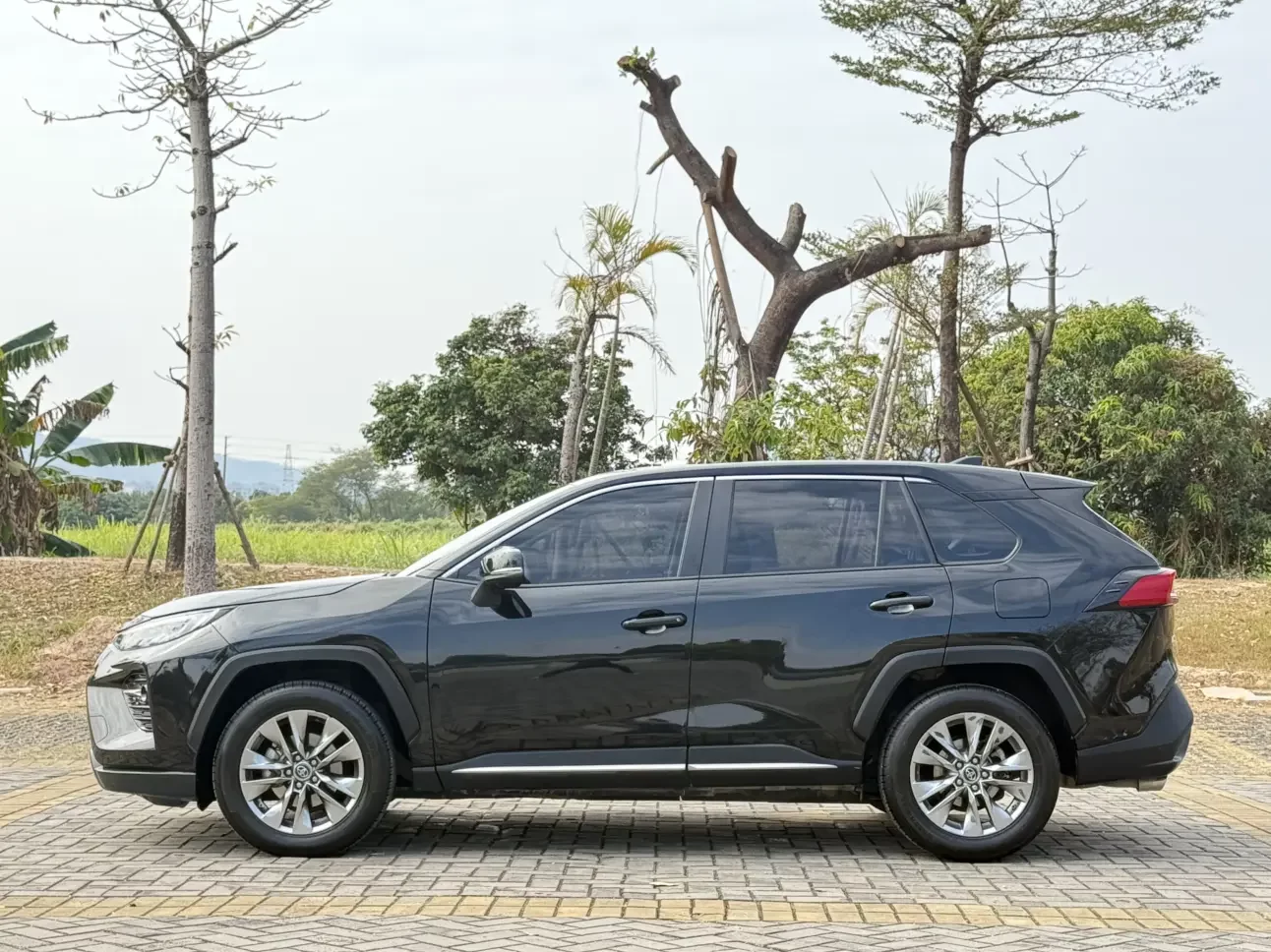 Toyota Willanda