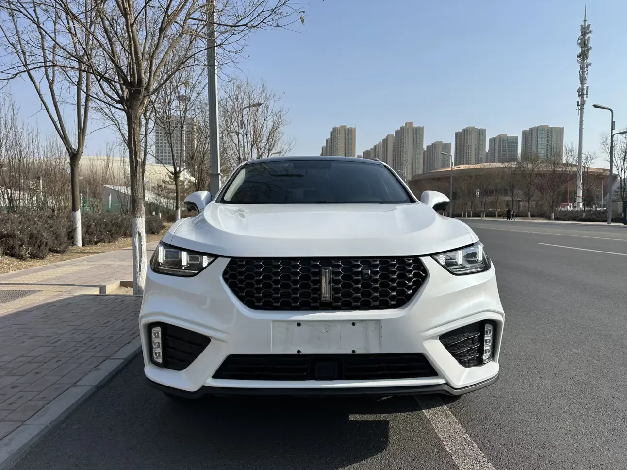Wey Wei brand VV5