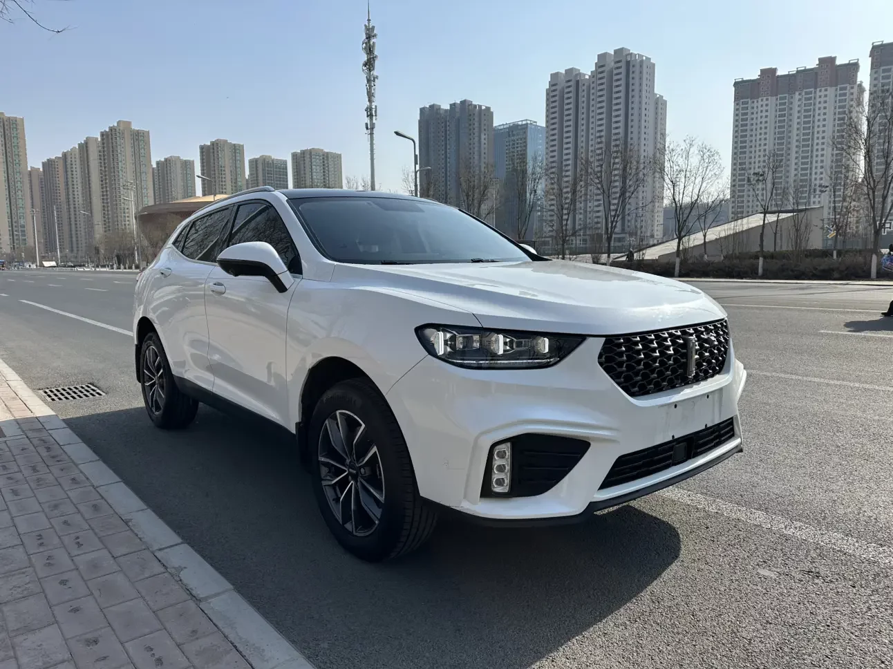 Wey Wei brand VV5