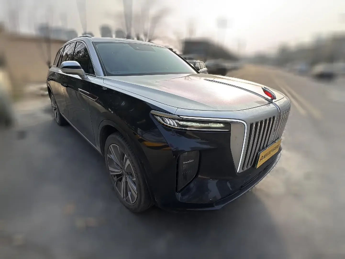 Hongqi E-HS9