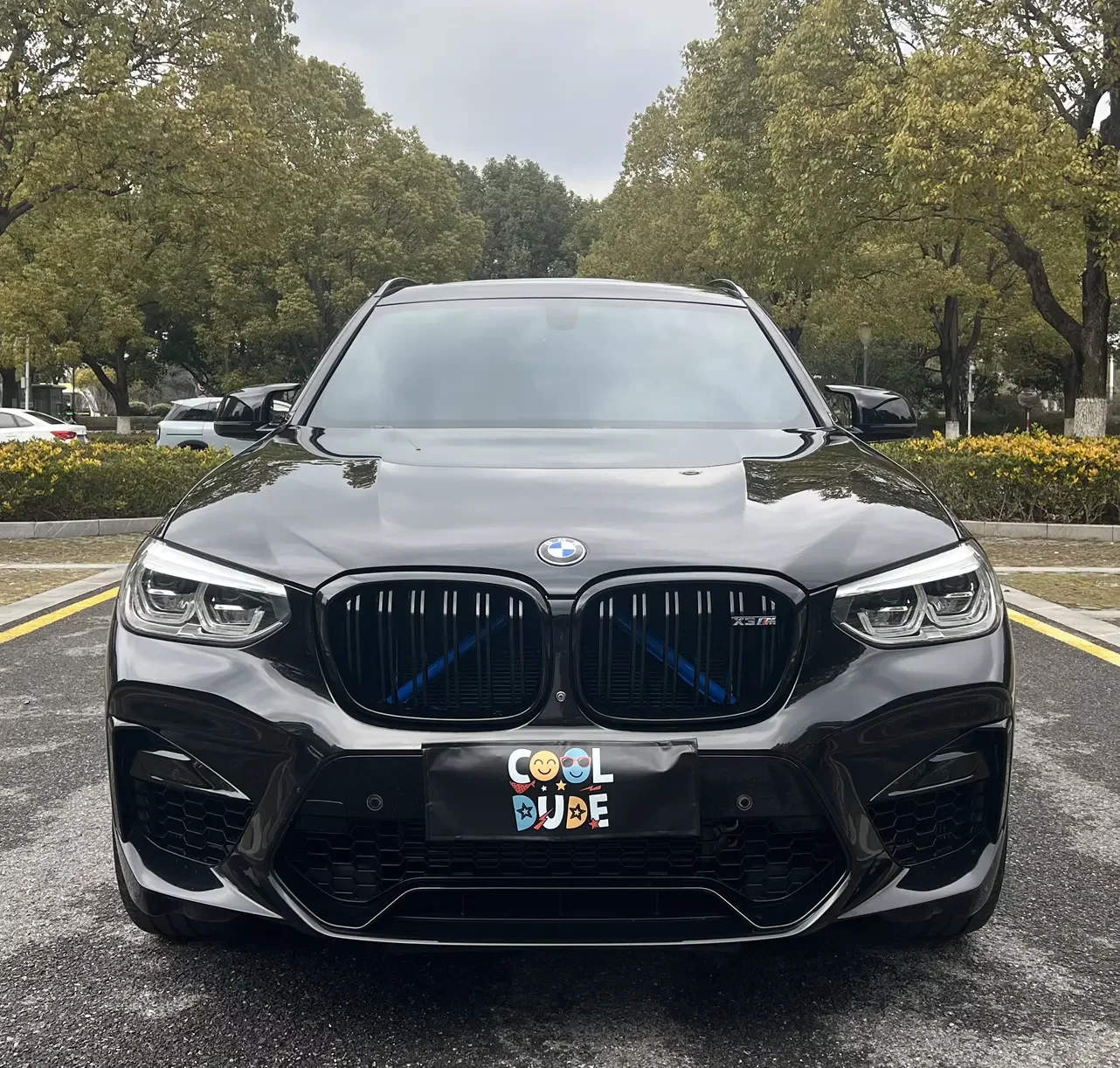 BMW X3 M
