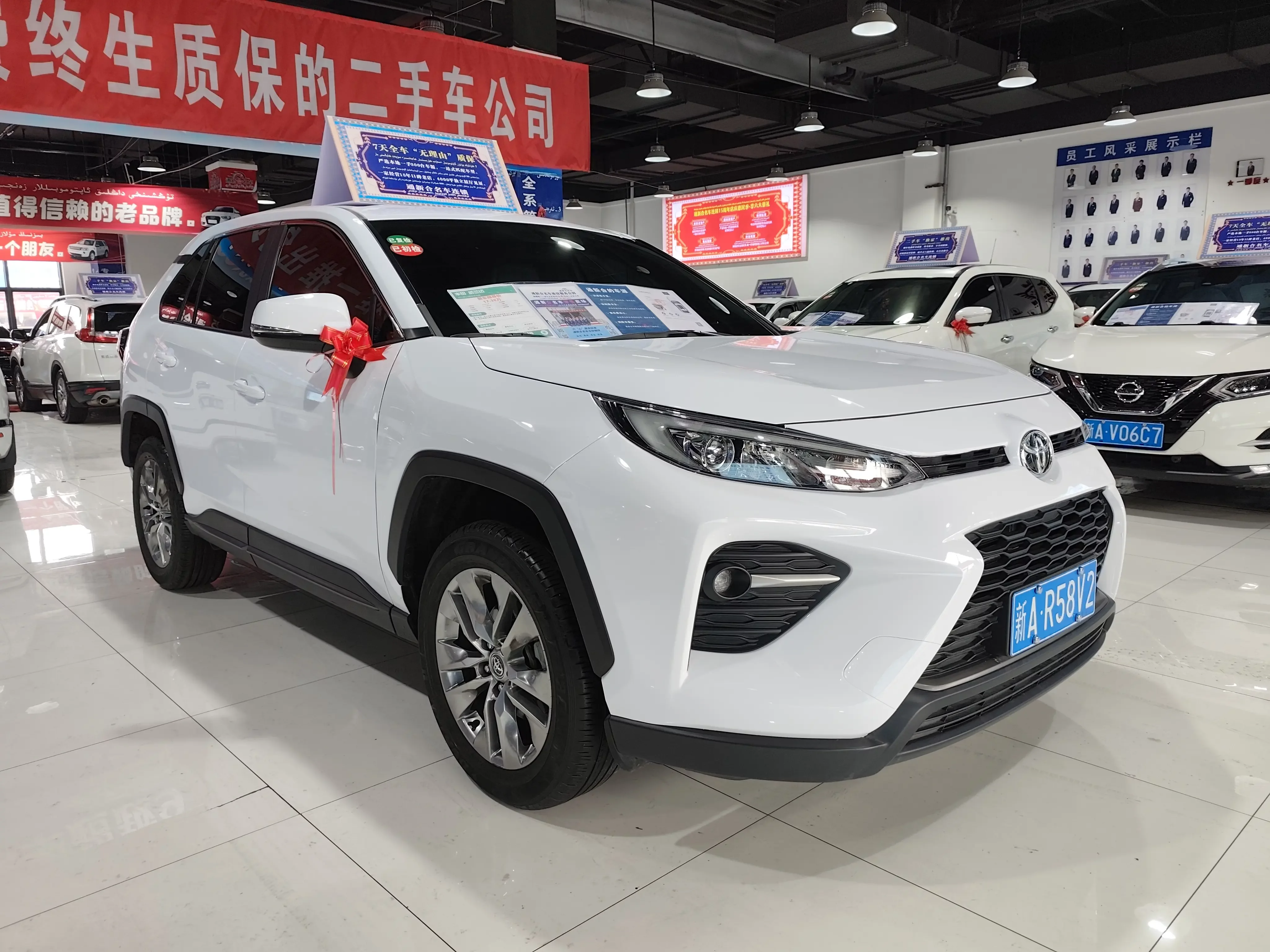 Toyota Willanda