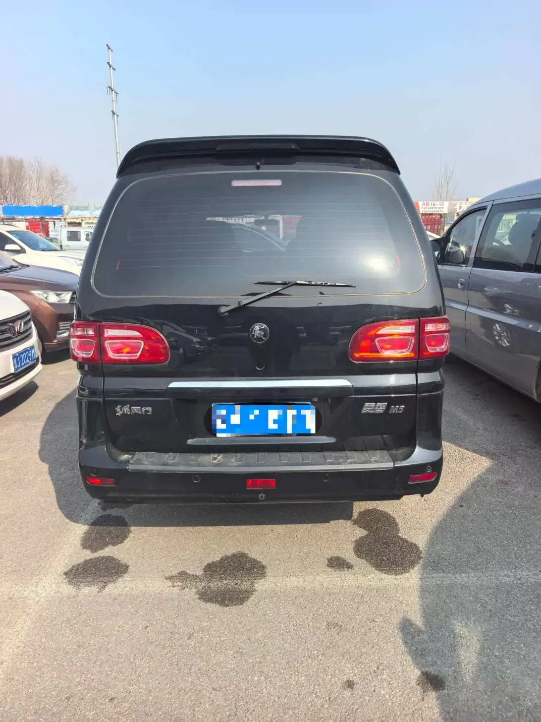 Forthing Lingzhi