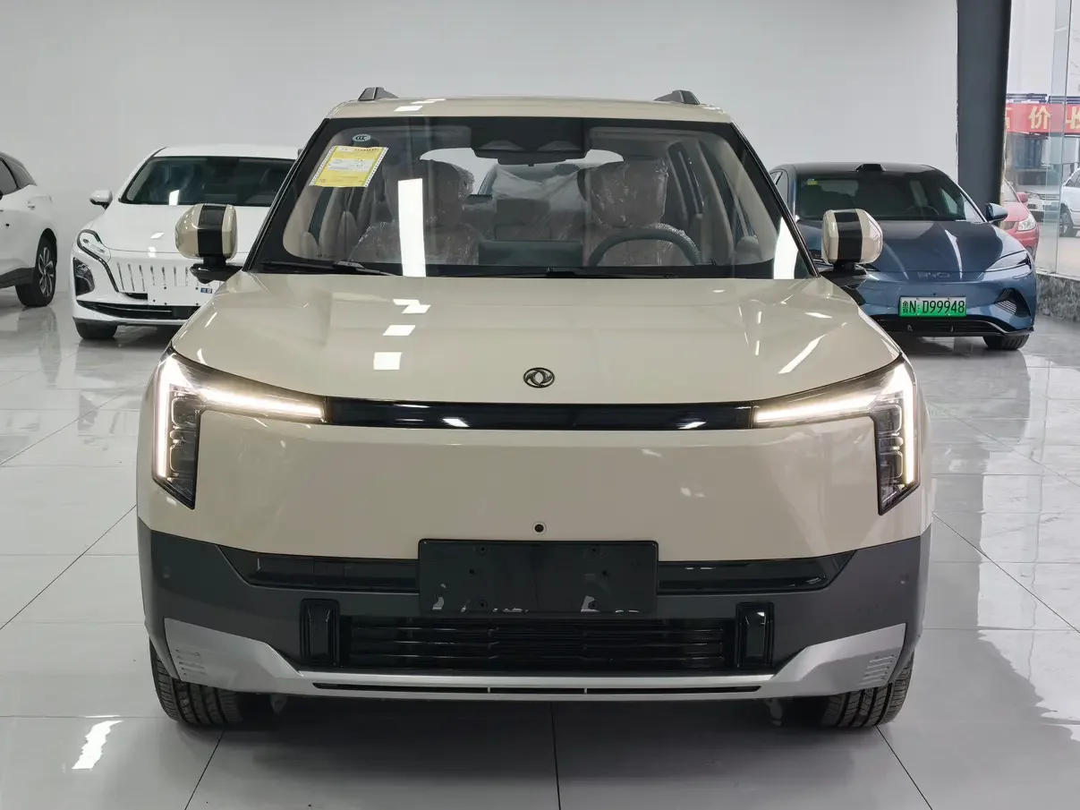 Dongfeng Nano 06