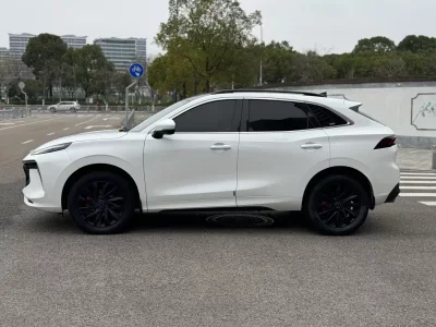Forthing Fengxing T5 EVO