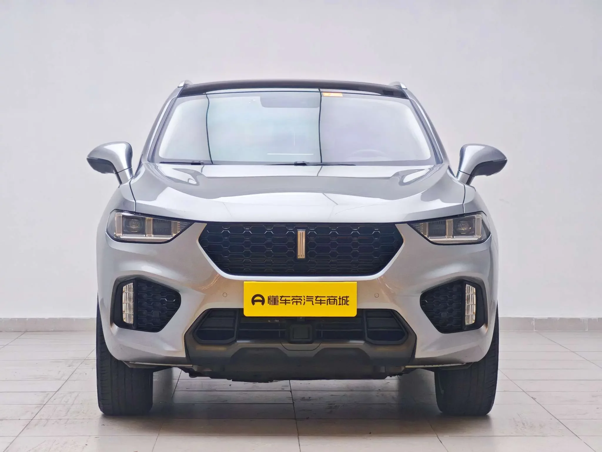 Wey Wei brand VV5