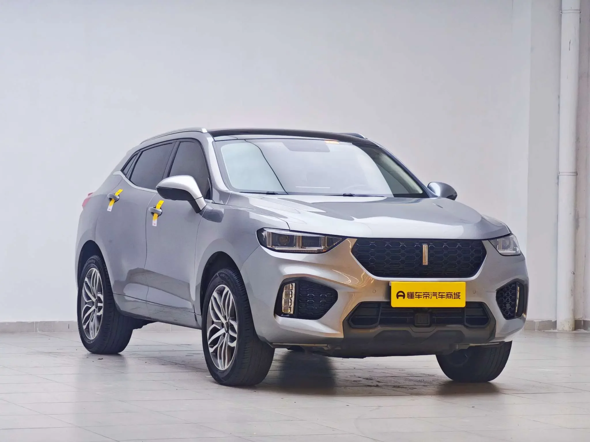 Wey Wei brand VV5