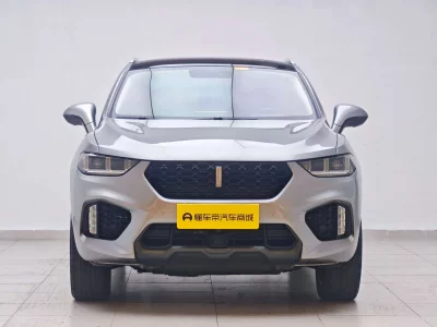 Wey Wei brand VV5
