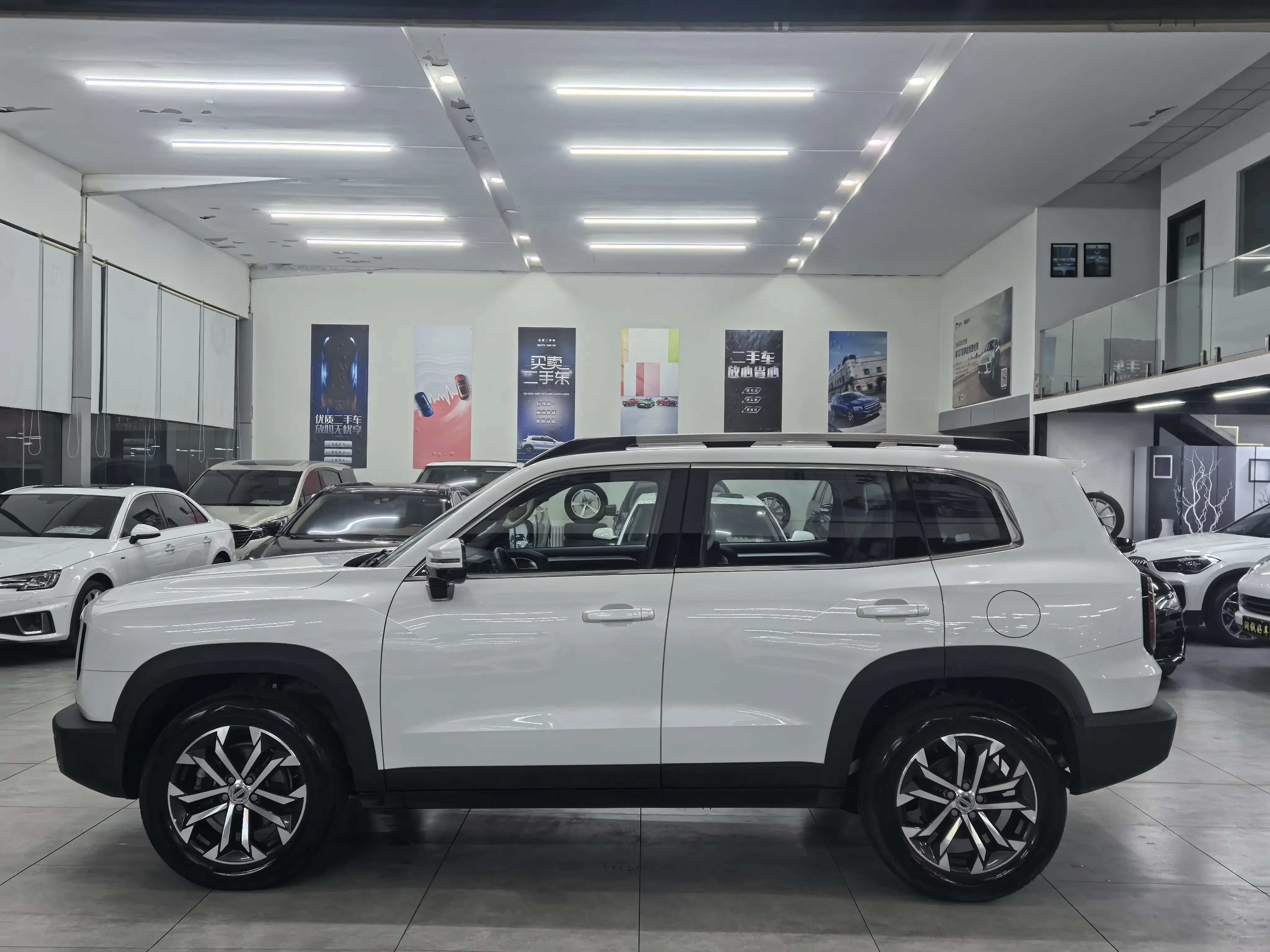 Haval Dargo