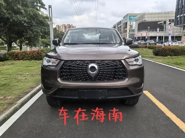 Great Wall gun