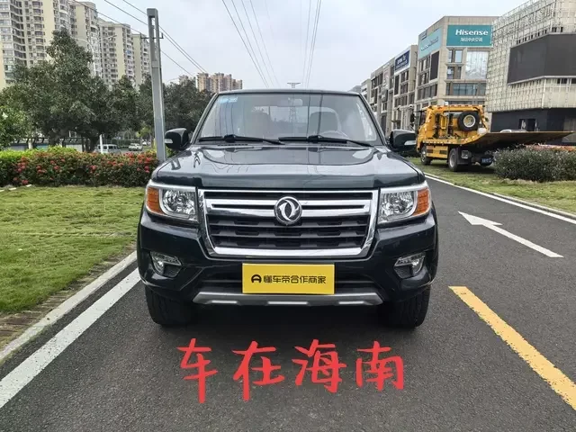 Dongfeng Ruiqi
