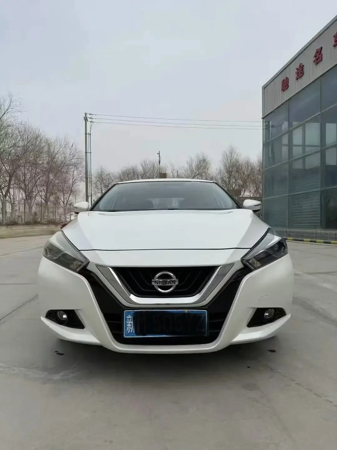 Nissan bluebird