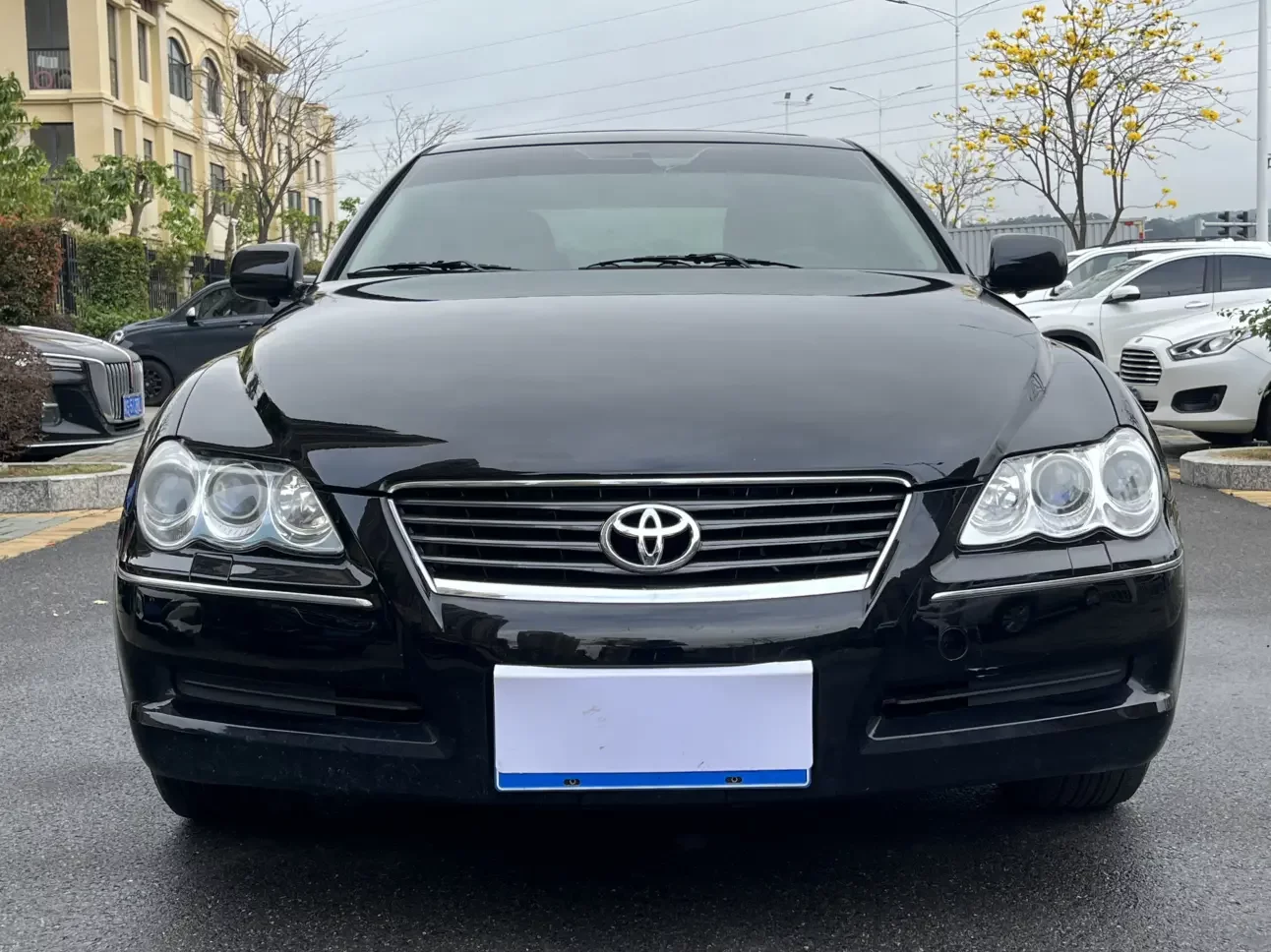 Toyota Ruizhi