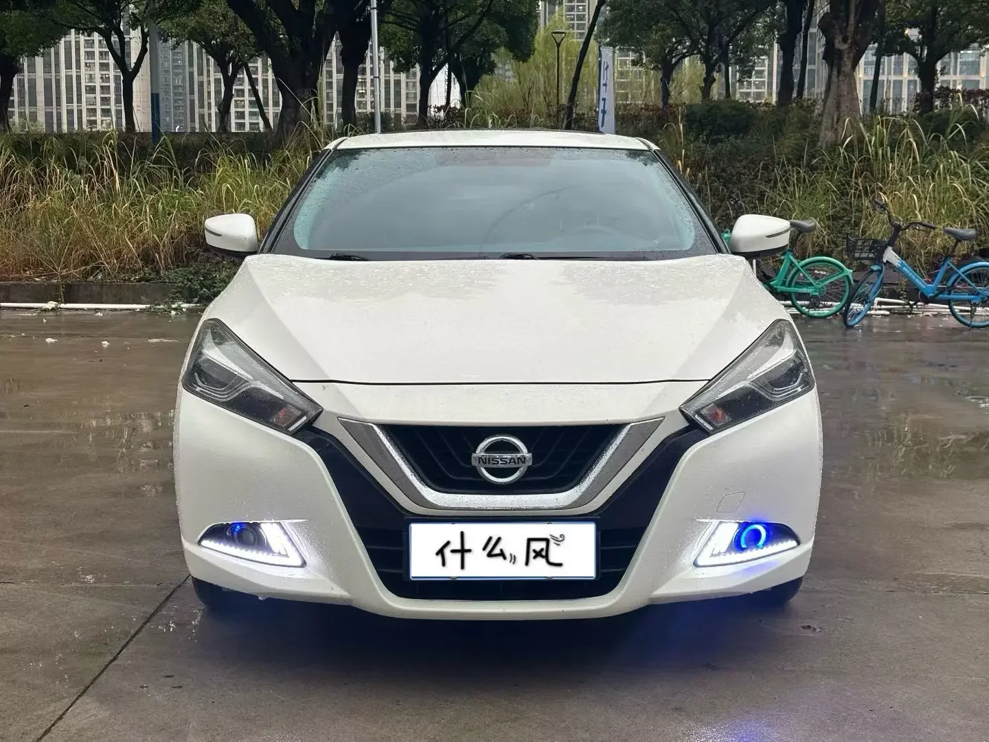 Nissan bluebird