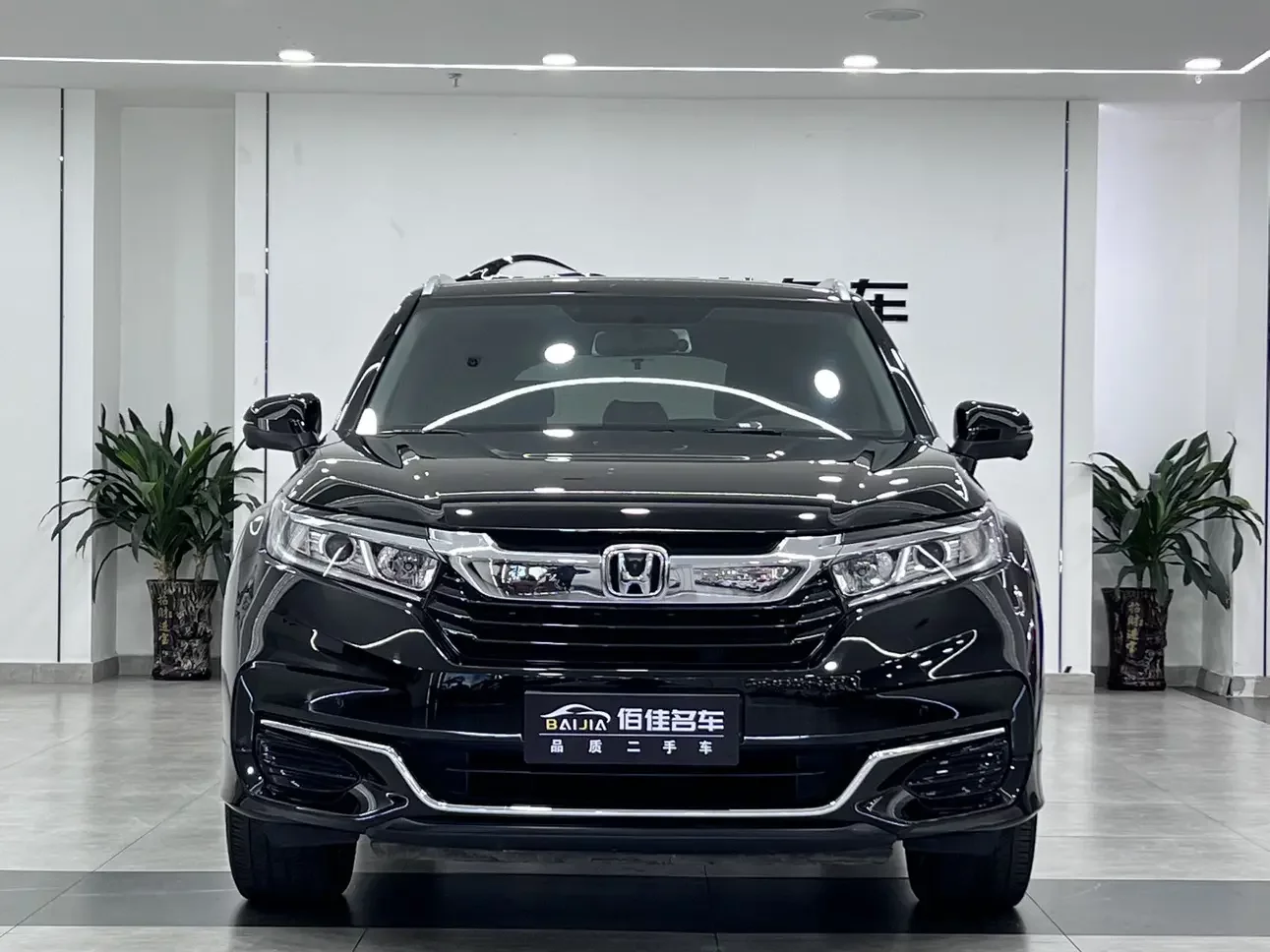 Honda Avancier