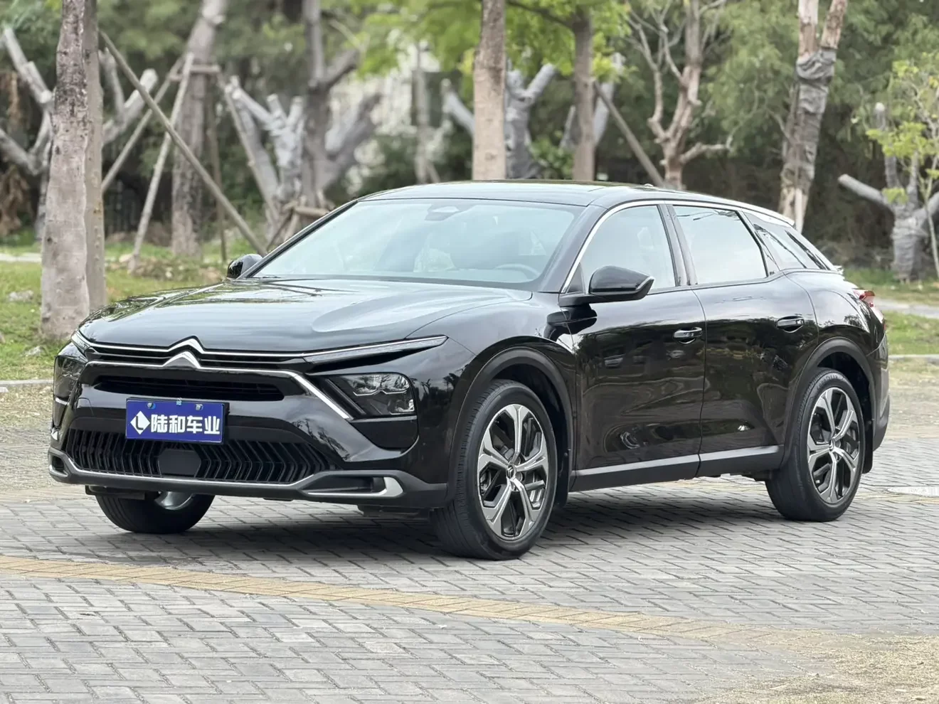 Citroën Versailles C5 X