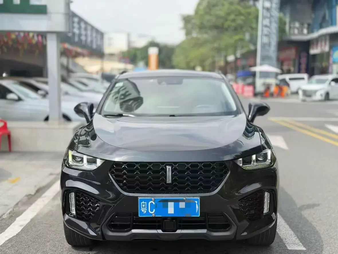 Wey Wei brand VV5