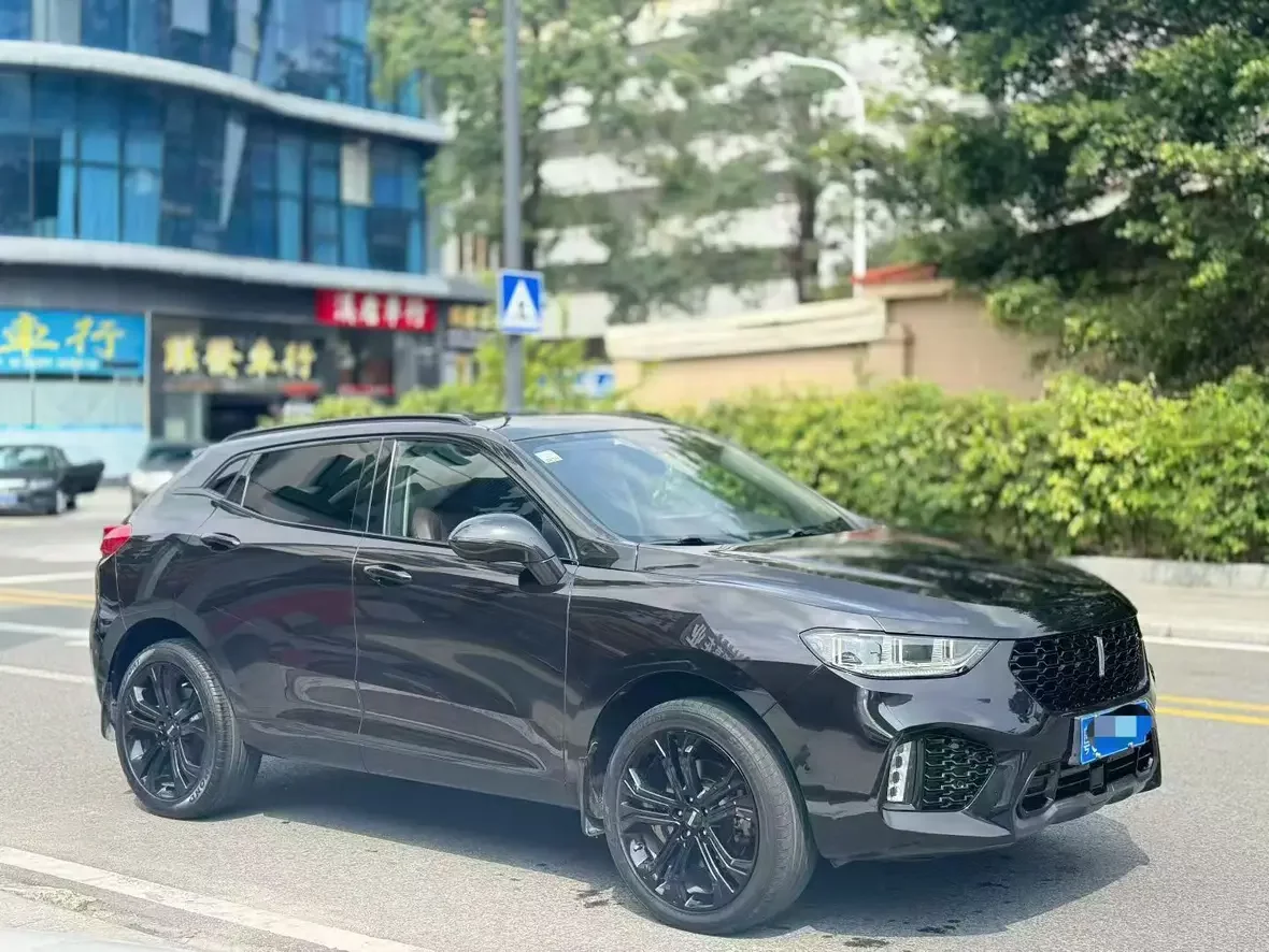 Wey Wei brand VV5