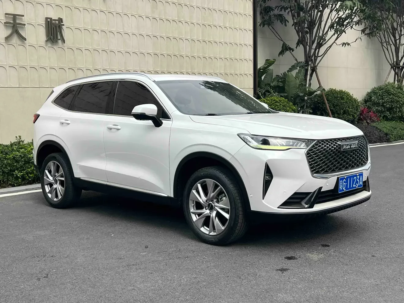Haval H6