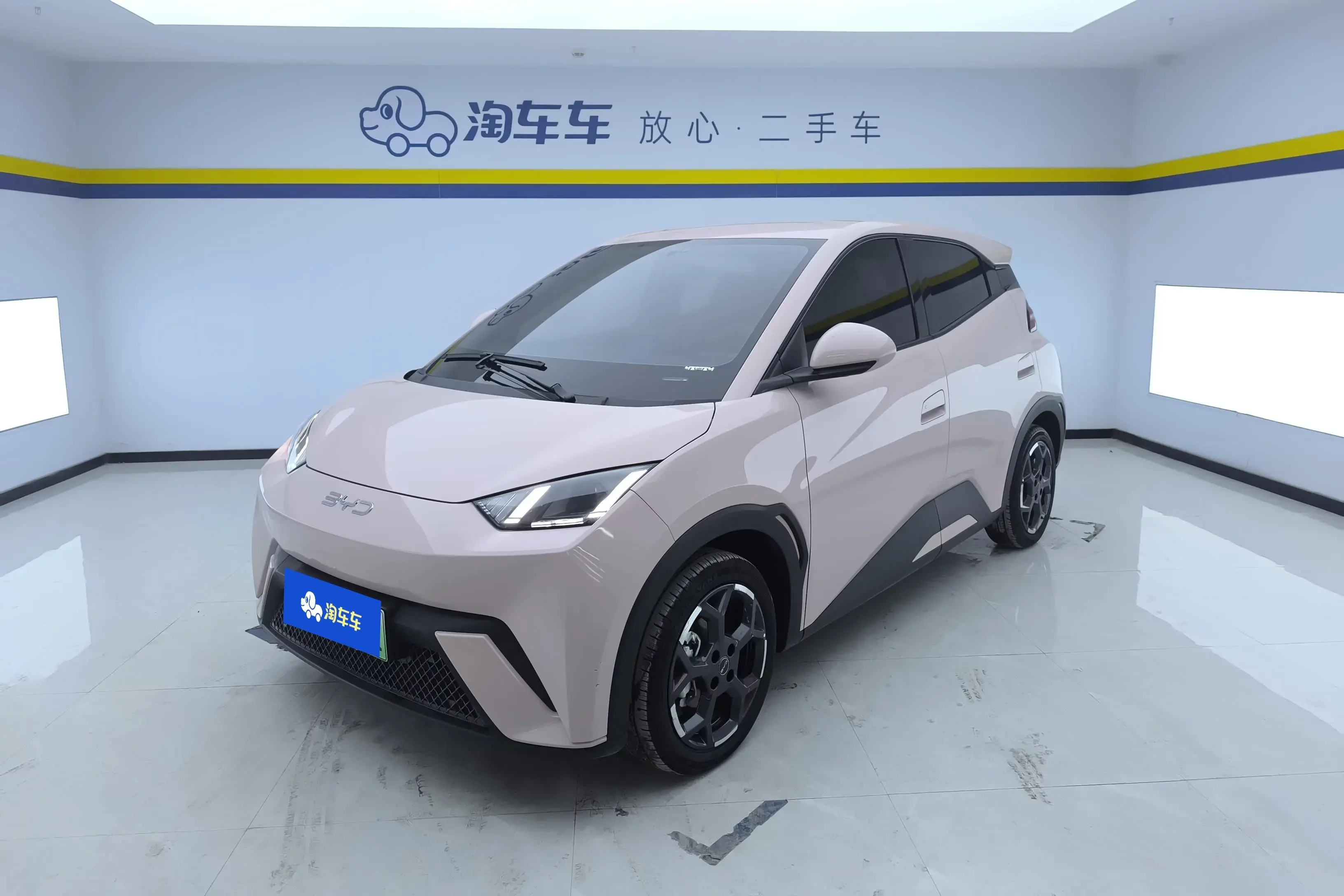 BYD seagull