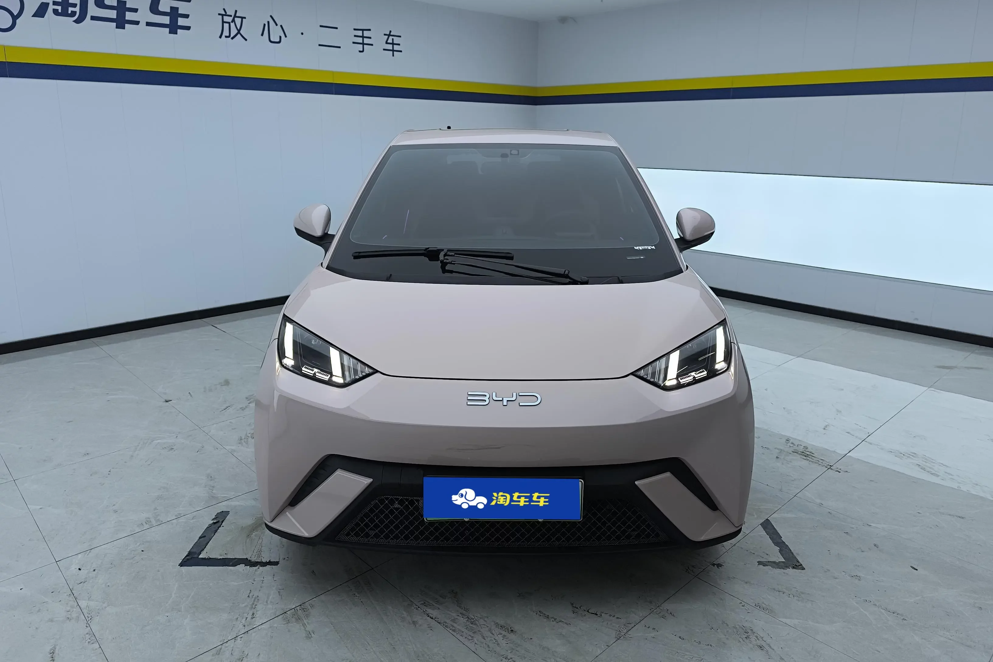 BYD seagull