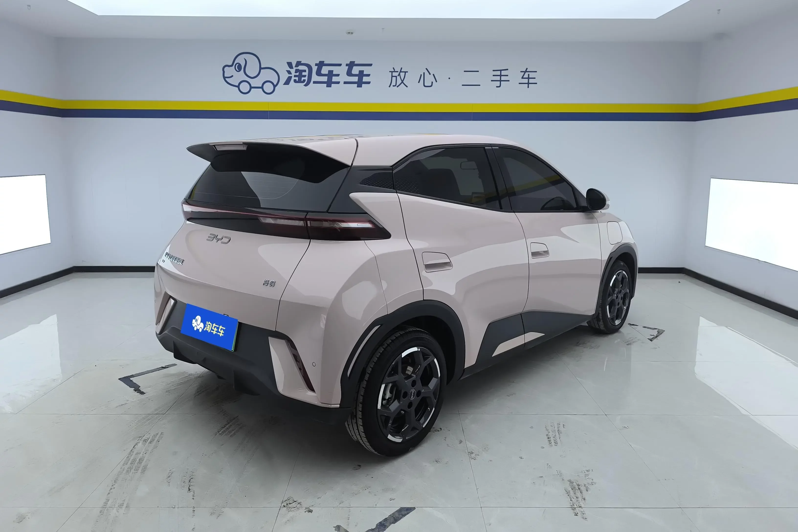 BYD seagull