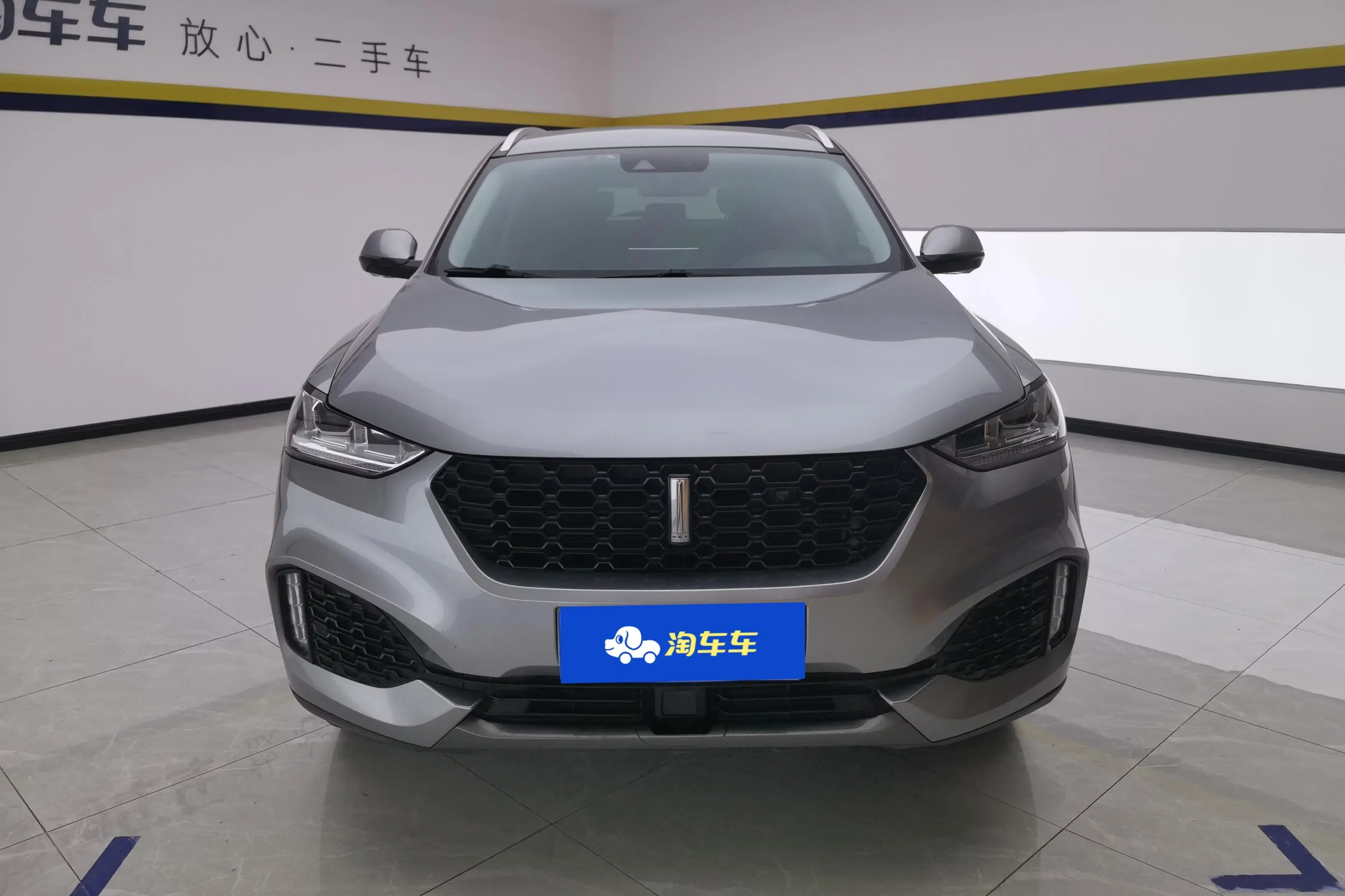 Wey Wei brand VV6