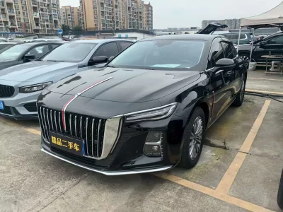 Hongqi H5, 2024 — купить с доставкой из Китая