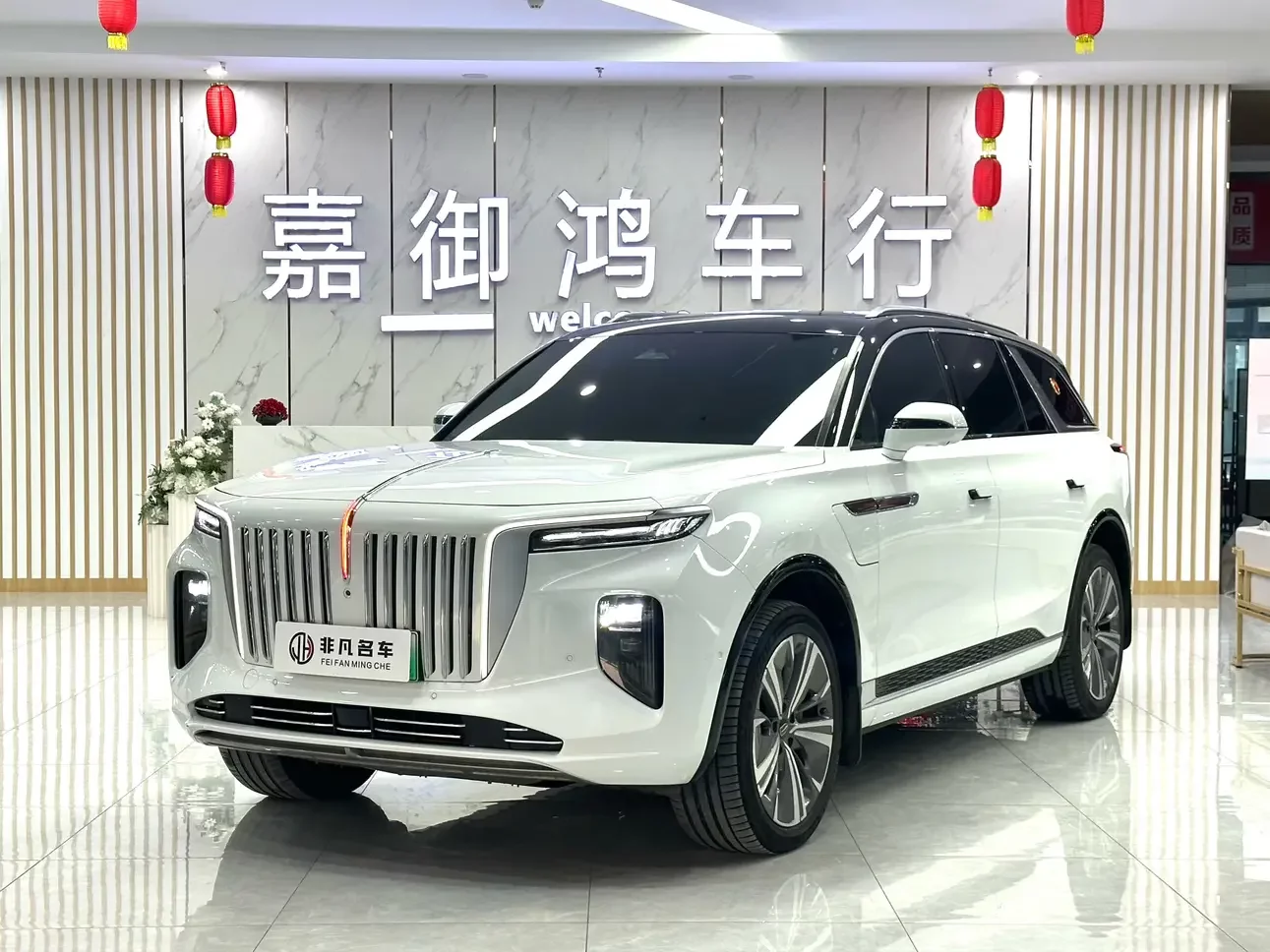 Hongqi E-HS9