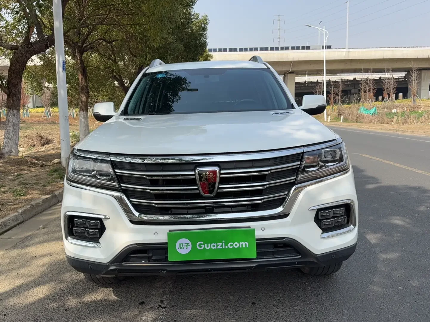 Roewe RX8