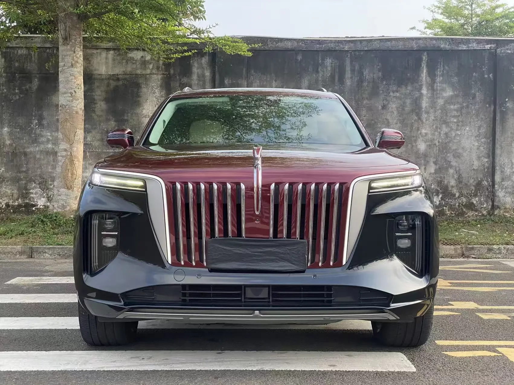 Hongqi E-HS9