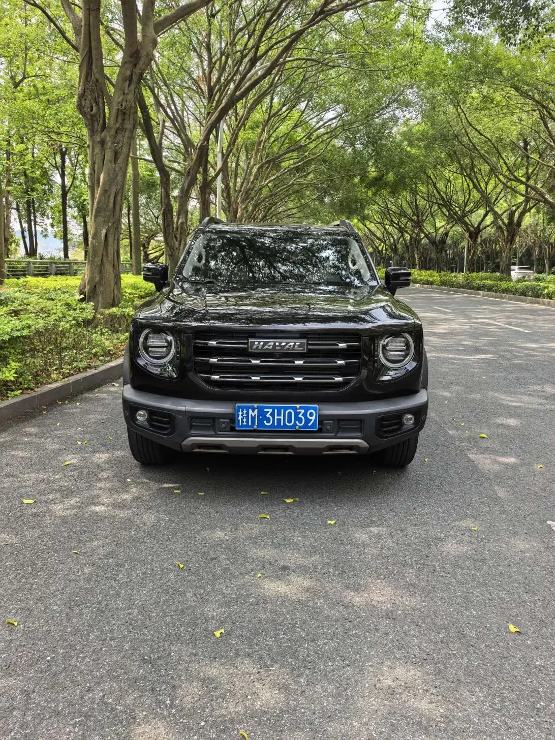 Haval Dargo