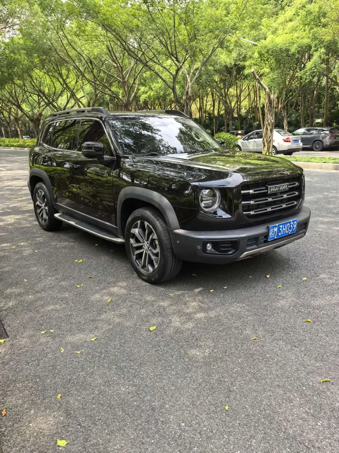 Haval Dargo