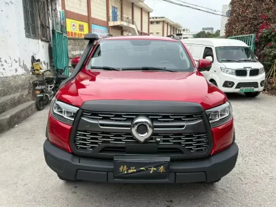 Great Wall Poer (gun)
