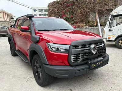 Great Wall Poer (gun)