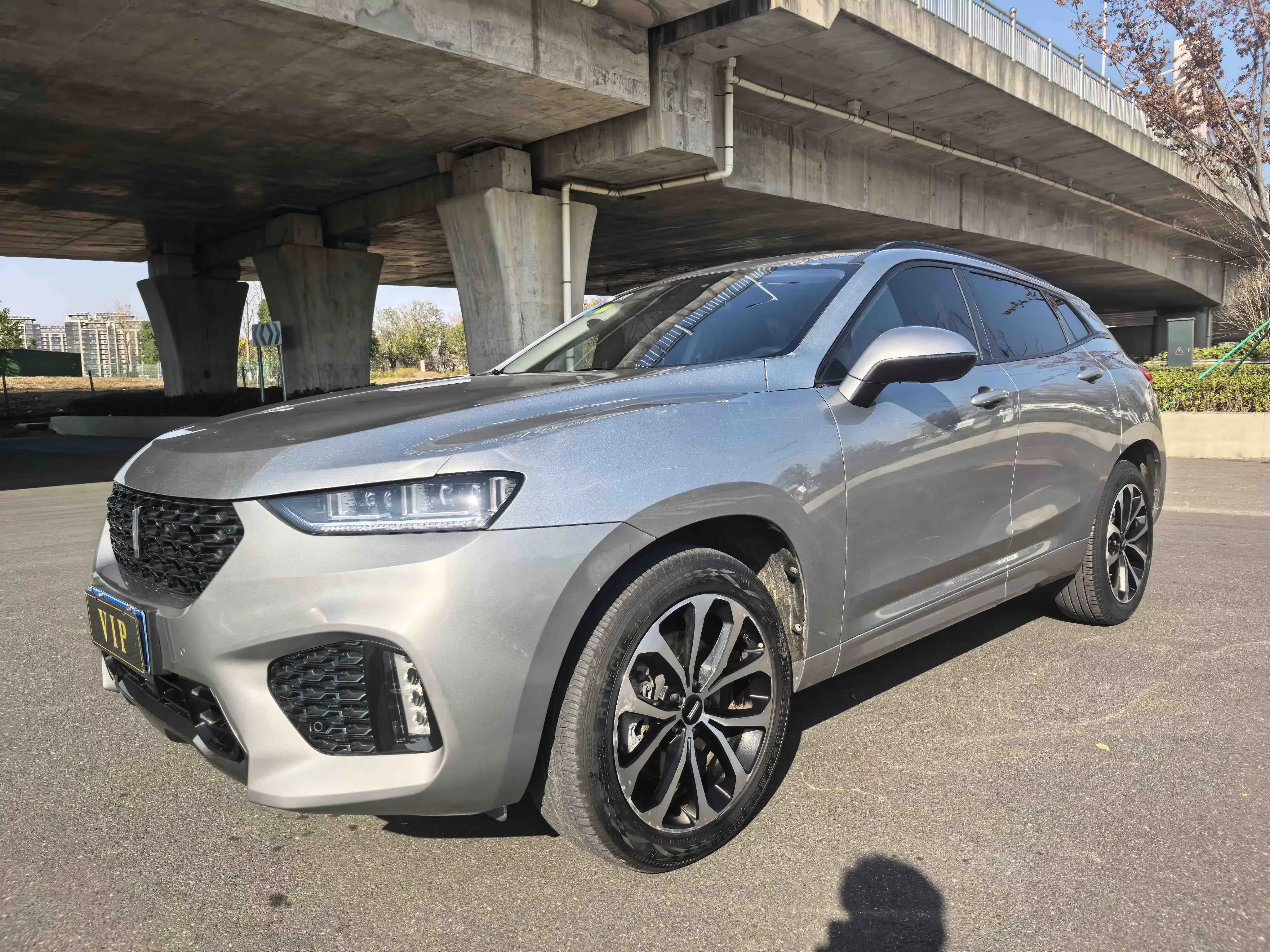 Wey Wei brand VV7