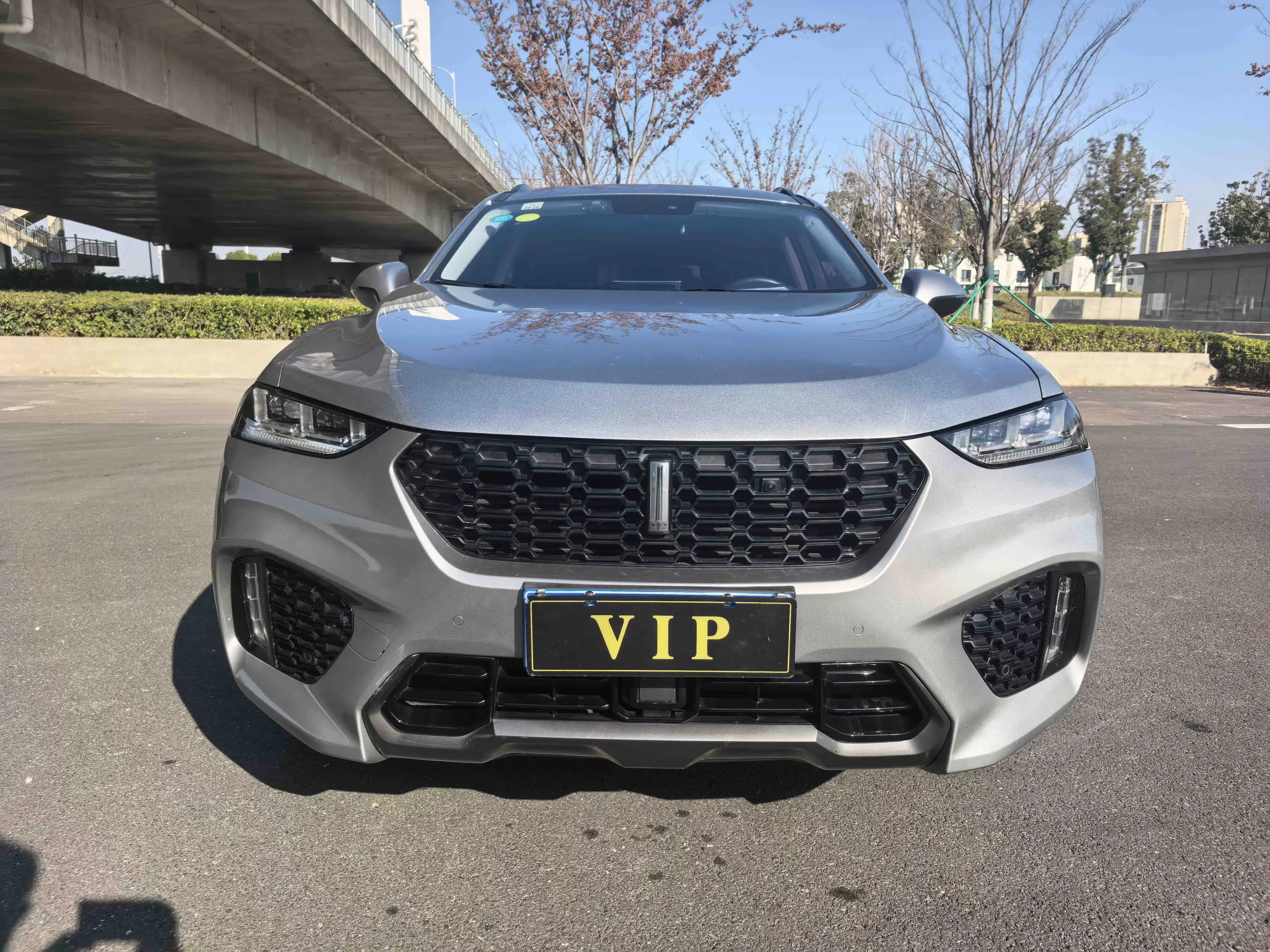 Wey Wei brand VV7