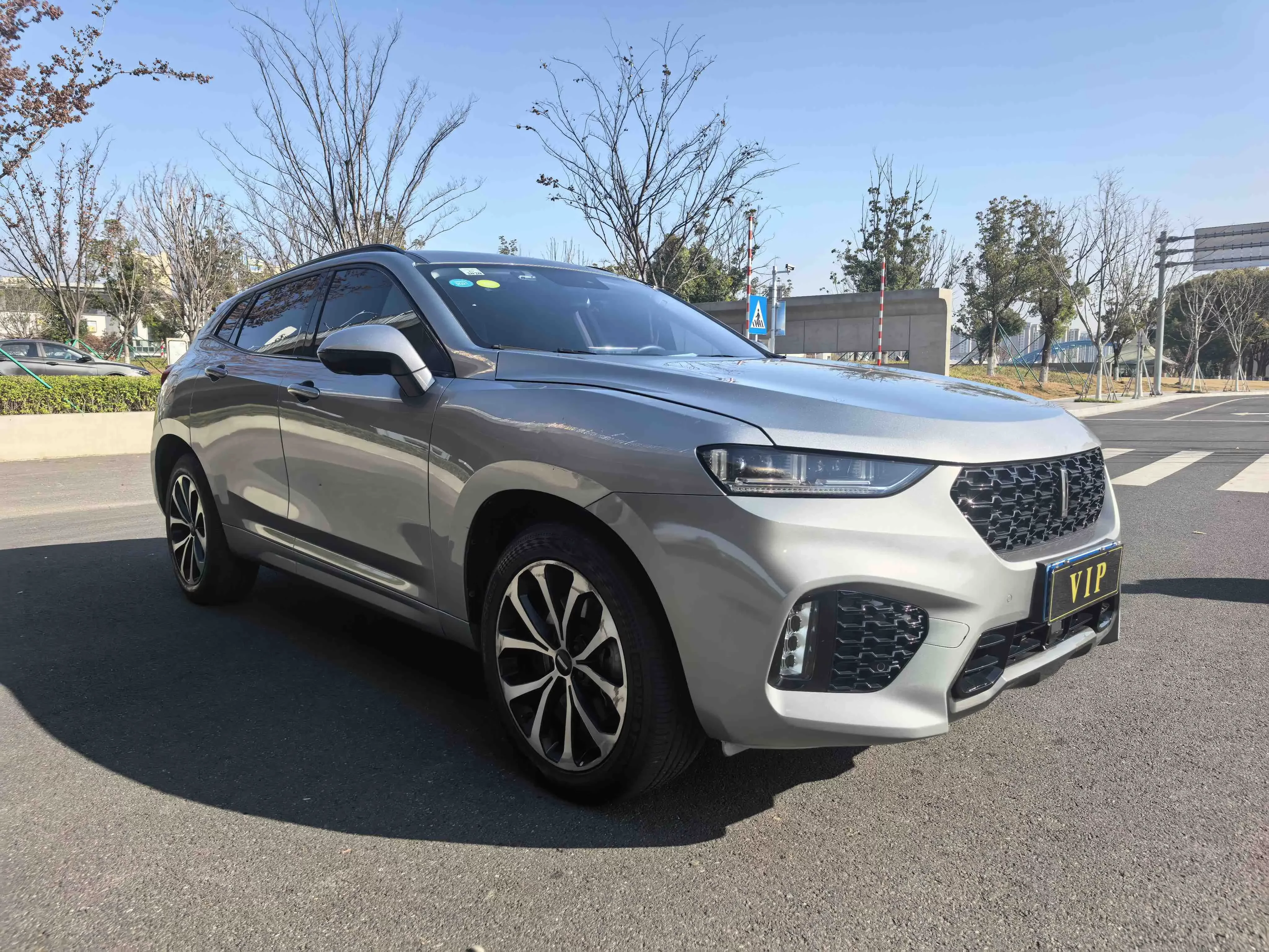 Wey Wei brand VV7