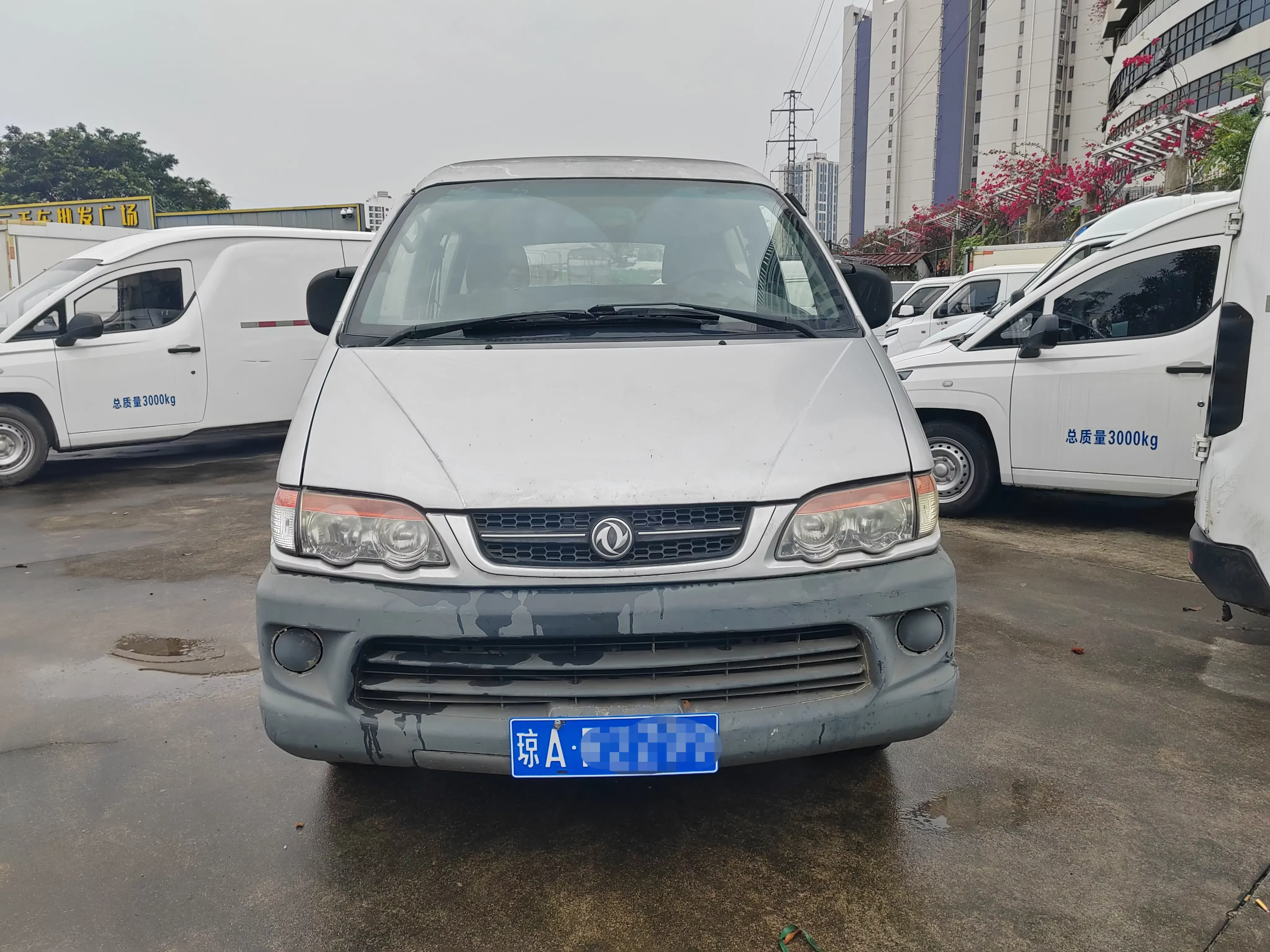 Forthing Lingzhi