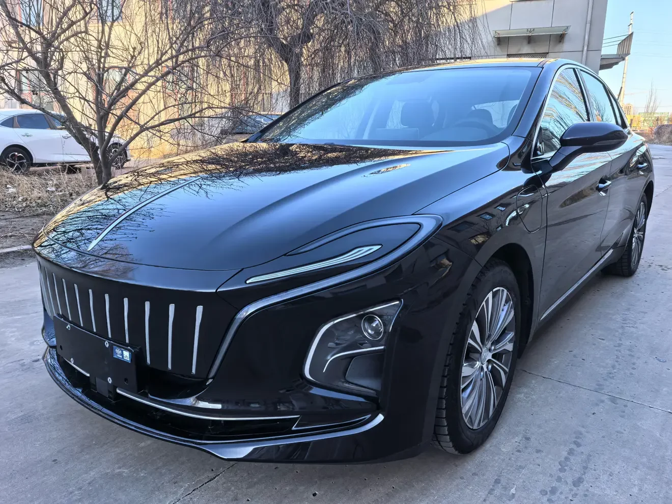 Hongqi E-QM5