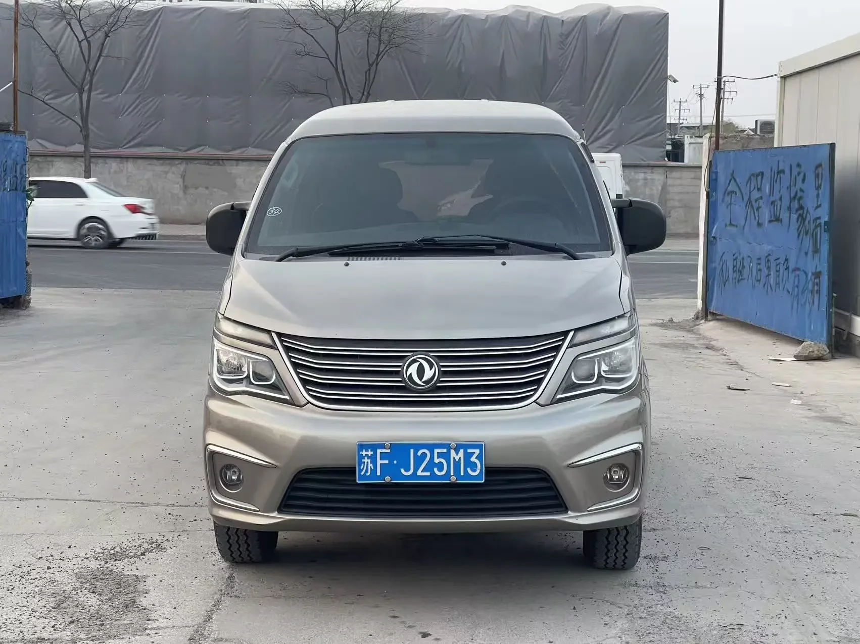 Forthing Lingzhi