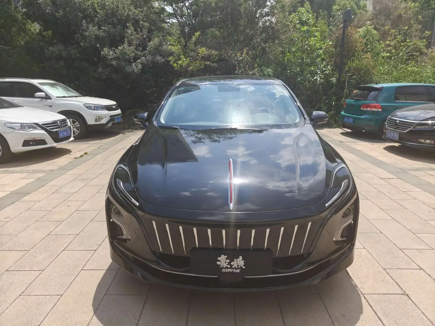 Hongqi E-QM5