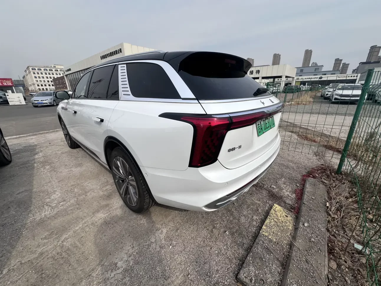 Hongqi E-HS9