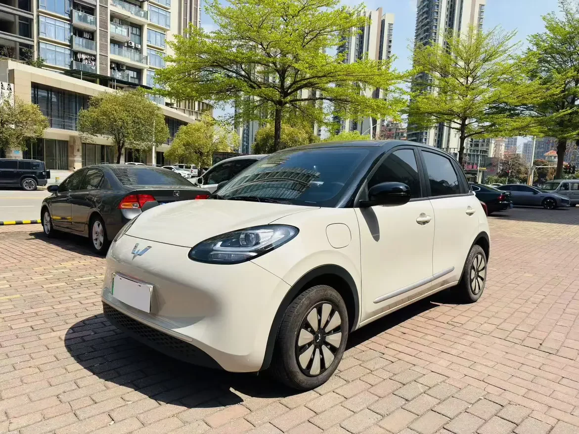 Wuling Bingo