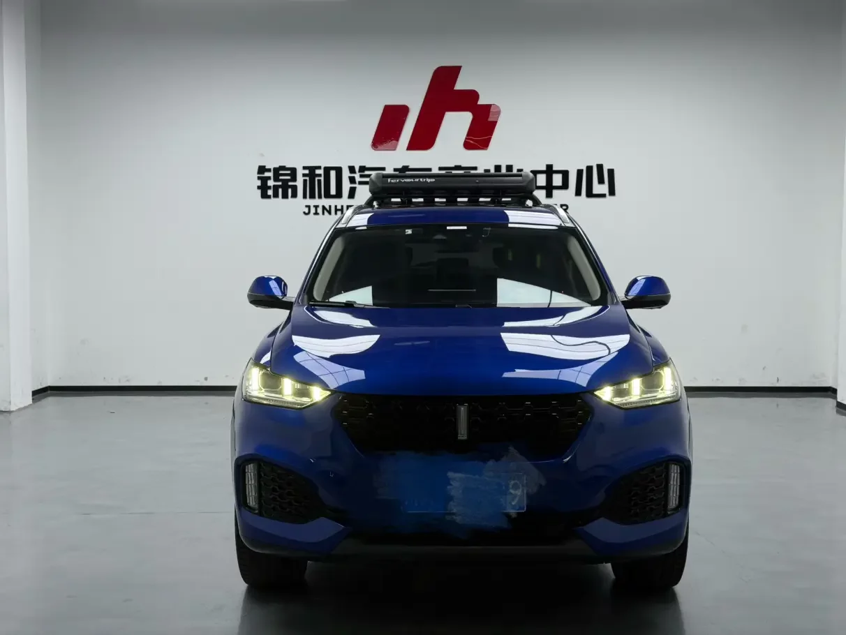 Wey Wei brand VV6