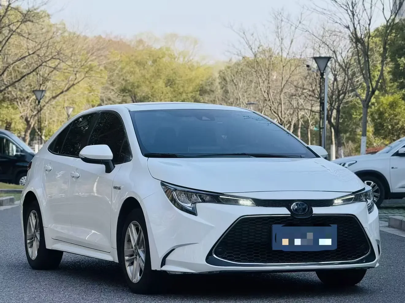 Toyota Levin